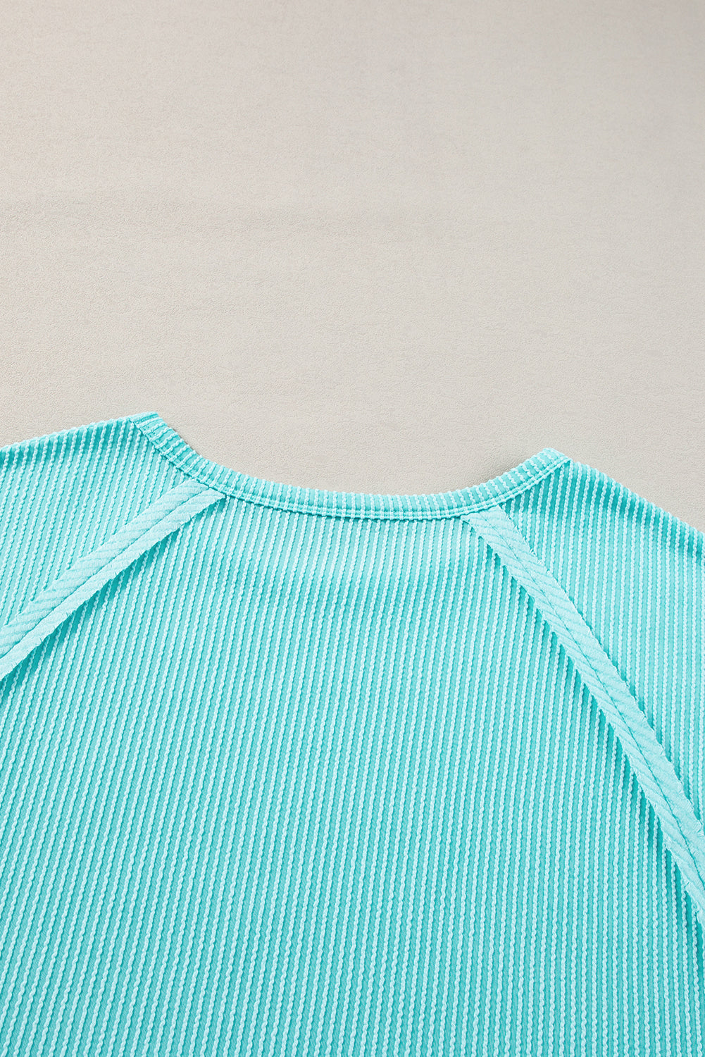 Light Blue Ribbed Exposed Seam Casual Plus Size T Shirt